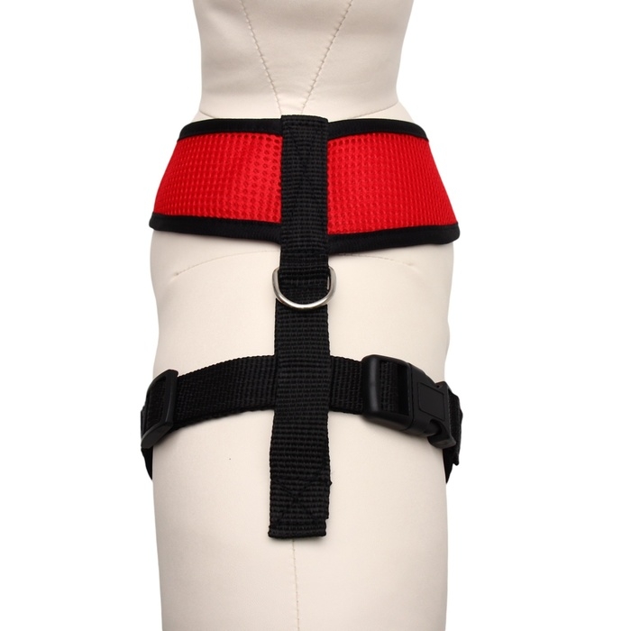 Шлейка мягкая из неопрена, размер L, ОШ 39 см, ОГ 36-46 см, красная Шлейка мягкая из неопрена, размер L, ОШ 39 см, ОГ 36-46 см, красная