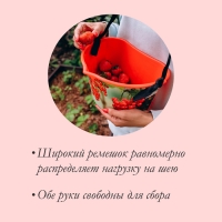 Ёмкость для сбора ягод, 3 л, «Красная смородина», красная Ёмкость для сбора ягод, 3 л, «Красная смородина», красная