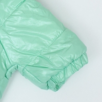 Комбинезон "Глянец", размер 2XL (ДС 44, ОГ 59, ОШ 44 см), мятный Комбинезон "Глянец", размер 2XL (ДС 44, ОГ 59, ОШ 44 см), мятный