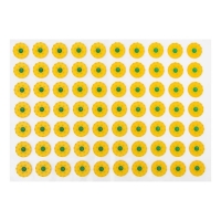 Аппликатор Кузнецова, 70 колючек, пленка, 23 x 32 см. Аппликатор Кузнецова, 70 колючек, пленка, 23 x 32 см.