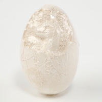 Новый год! Набор для раскопок &laquo;Волшебный змей&raquo;