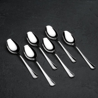 Ложка десертная Garde (Нытва) «Мондиал», длина 17 см, толщина 2,5 мм, цвет серебряный Ложка десертная Garde (Нытва) «Мондиал», длина 17 см, толщина 2,5 мм, цвет серебряный