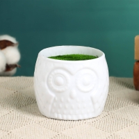 Флористическое кашпо "Совенок" белое, 6,5х6,5х6см Флористическое кашпо "Совенок" белое, 6,5х6,5х6см