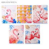 Тетрадь 48 листов в клетку Calligrata "Фламинго", обложка мелованный картон, УФ-лак, блок офсет, МИКС