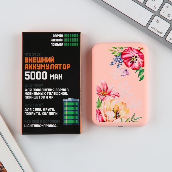 Зарядное устройство &laquo;Цветы&raquo;, 5000мА