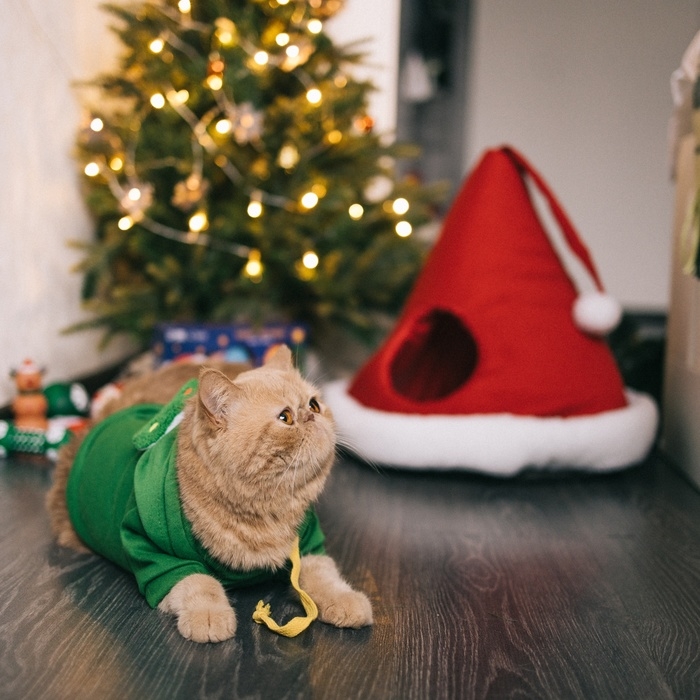 Костюм для животных "Ёлка", размер XL, зелёный