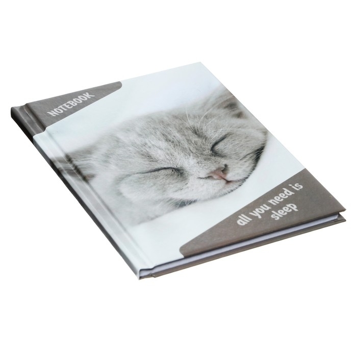 Блокнот А6, 40 листов в клетку "Спящий кот", твёрдая обложка, глянцевая ламинация, блок офсет