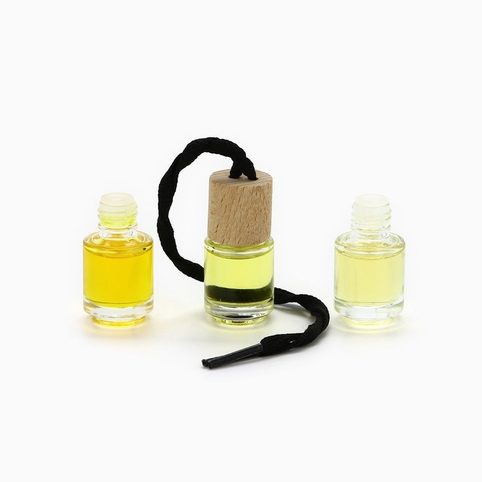 Ароматизаторы для машины новогодние &laquo;Все сбудется, загадывай&raquo;, цитрус, тропики, парфюм, 3 шт