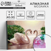 Алмазная мозаика с полным заполнением на подрамнике &laquo;Лебеди на озере&raquo;, 30 х 40 см