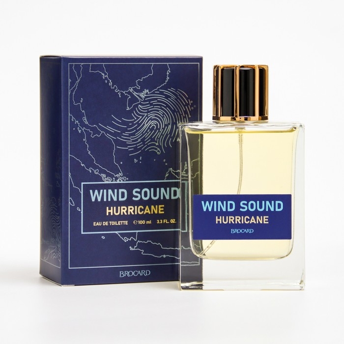 Туалетная вода мужская Туалетная вода мужская "Звук Ветра", "Ураган", 100 мл