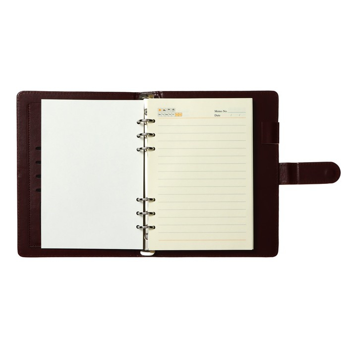 Органайзер на кольцах Органайзер на кольцах "Классика" А5, 96 листов в линейку с ремешком, МИКС