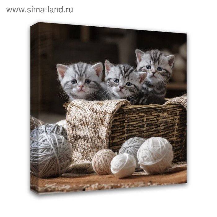 Картина на подрамнике Картина на подрамнике "Котята" 30*30 см
