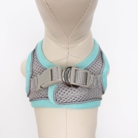 Комплект с мягкой шлейкой, размер XXS, поводок 150 х 1,5 см, ОГ 28-30 см, ОШ 24-26 см, бирюз Комплект с мягкой шлейкой, размер XXS, поводок 150 х 1,5 см, ОГ 28-30 см, ОШ 24-26 см, бирюз