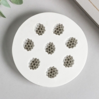 Молд силикон "Малина" 8 предметов 1,7х7,5х7,5 см Молд силикон "Малина" 8 предметов 1,7х7,5х7,5 см