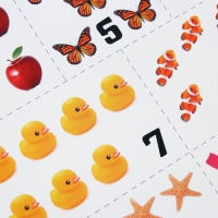 Набор обучающих плакатов «Изучаем мир», 10 в 1, А4 Набор обучающих плакатов «Изучаем мир», 10 в 1, А4