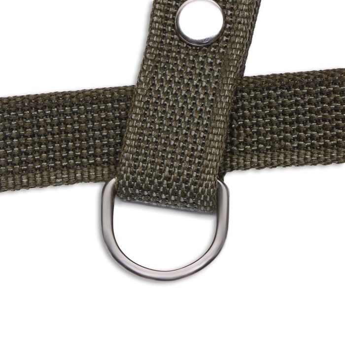 Шлейка брезентовая Шлейка брезентовая "Прогулочная", 2,5 см, ОШ 46-58 см, ОГ 78-85 см