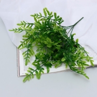 Букет "Нефролепис" 30 см, Букет "Нефролепис" 30 см,