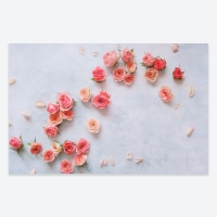 Фотофон двусторонний бумага 300 гр "Розы и ромашки" 57х87 см Фотофон двусторонний бумага 300 гр "Розы и ромашки" 57х87 см