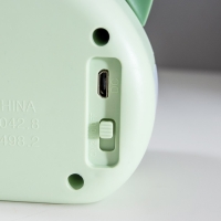 Лампа настольная "Дели" LED 2 режима 2Вт USB зеленый 11,7х7х12 см RISALUX Лампа настольная "Дели" LED 2 режима 2Вт USB зеленый 11,7х7х12 см RISALUX