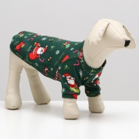 Новый год. Кофта новогодняя для животных "Подарки", размер S, зелёный (ДС 26, ОШ 22, ОГ 34 см) Новый год. Кофта новогодняя для животных "Подарки", размер S, зелёный (ДС 26, ОШ 22, ОГ 34 см)