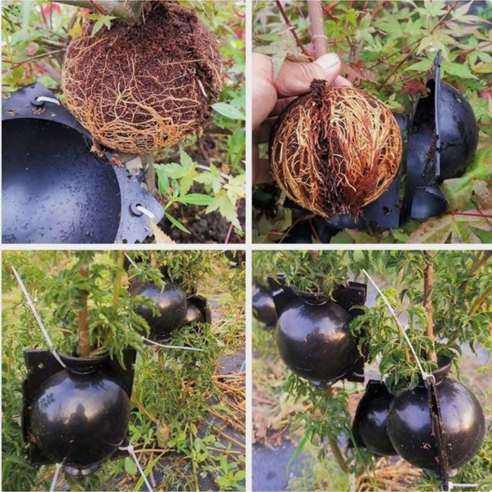 Шар для укоренения растений, d = 8 см, под ветку 1 см, чёрный , Greengo