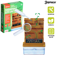 Набор для опытов &laquo;Лабиринт для цветка&raquo;