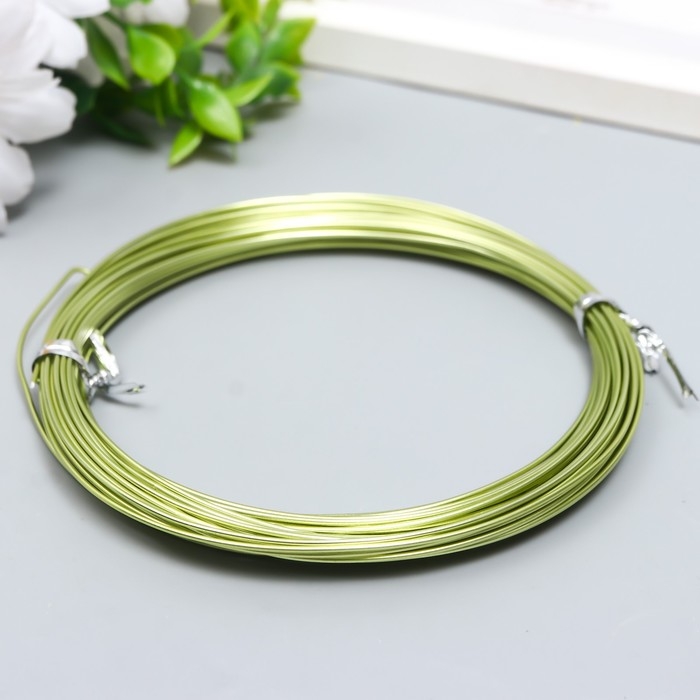 Проволока для творчества d 1мм, зеленое яблоко, рул.10 м Проволока для творчества d 1мм, зеленое яблоко, рул.10 м