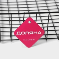Корзина сетчатая навесная на полку Доляна, 40,5×25×14 см, цвет чёрный Корзина сетчатая навесная на полку Доляна, 40,5×25×14 см, цвет чёрный