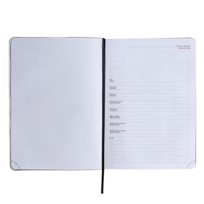 Ежедневник недатированный A5, 160 листов, deVENTE.Note.Realist, мягкая обложка из искусственной кожи, цветной срез, блок 70 г/м2, чёрный