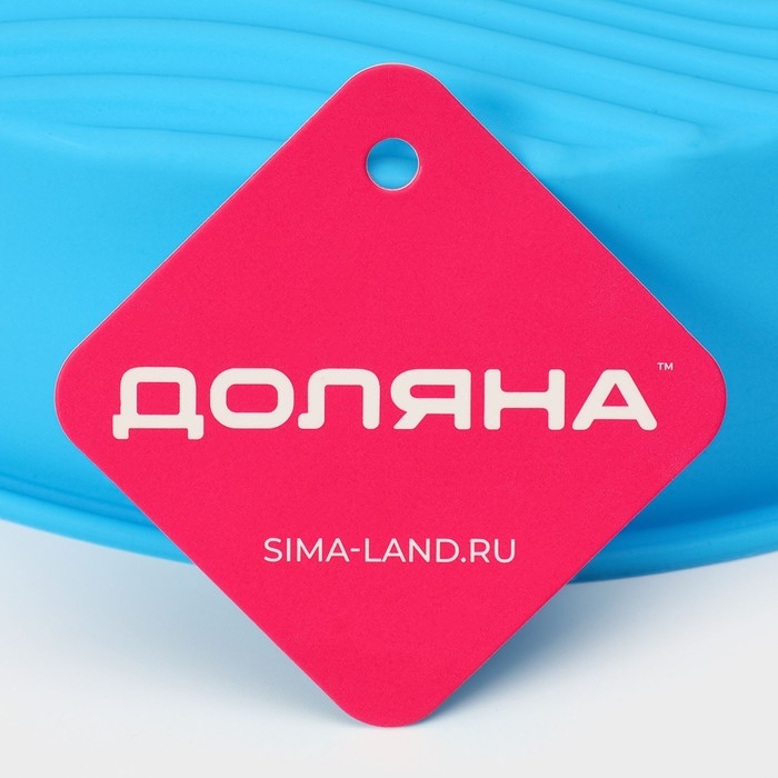 Форма для выпечки с ручками Доляна &laquo;Круг&raquo;, силикон, 27&times;24&times;6 см, внутренний диаметр 22 см, цвет МИКС