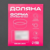 Форма для пиццы Доляна &laquo;Жаклин&raquo;, d=24 см, антипригарное покрытие, цвет чёрный