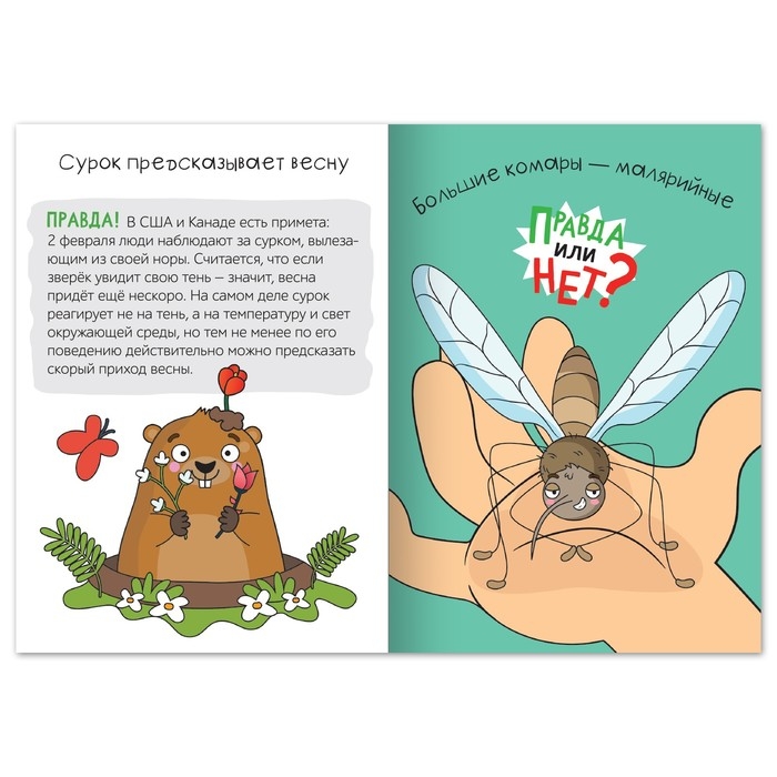 Обучающая книга &laquo;Правда или нет? Как в народе говорят&raquo;, 44 стр.