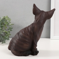 Фигурка "Котенок Сфинкс" 22 х 10 х 21 см.