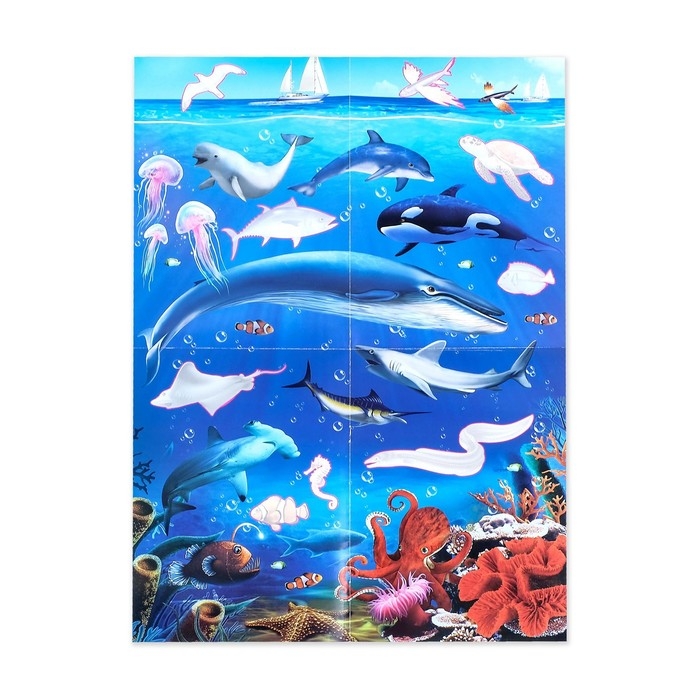 Активити книга с наклейками и растущими игрушками &laquo;Океан&raquo;, 12 стр.