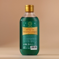 Новый Год. Гель для душа, 300 мл, аромат яблочный пунш Новый Год. Гель для душа, 300 мл, аромат яблочный пунш