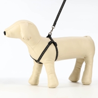 Комплект светоотражающий "Косточки", поводок 1 х 120 см (ОШ 22-34 см ,ОГ 22-34 см) чёрный Комплект светоотражающий "Косточки", поводок 1 х 120 см (ОШ 22-34 см ,ОГ 22-34 см) чёрный