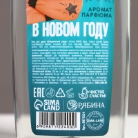 Подарочный набор косметики &laquo;Новых побед в Новом Году!&raquo;, гель для душа и шампунь для волос, 2 х 250 мл, ЧИСТОЕ СЧАСТЬЕ