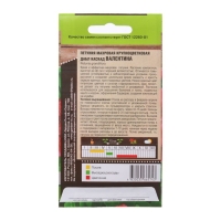 Семена цветов Петуния махровая крупноцветковая "Дабл Каскад Валентина", 10 шт Семена цветов Петуния махровая крупноцветковая "Дабл Каскад Валентина", 10 шт