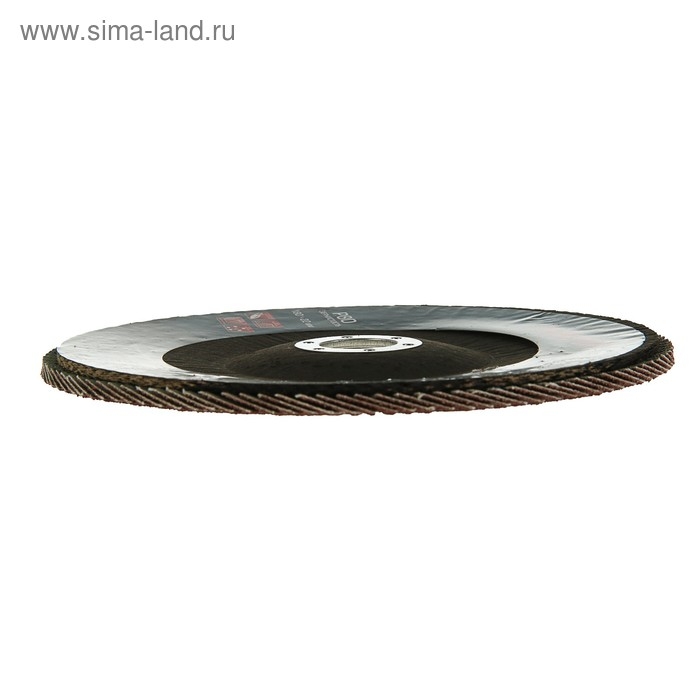 Круг лепестковый торцевой конический ТУНДРА, 180 х 22 мм, Р80 Круг лепестковый торцевой конический ТУНДРА, 180 х 22 мм, Р80