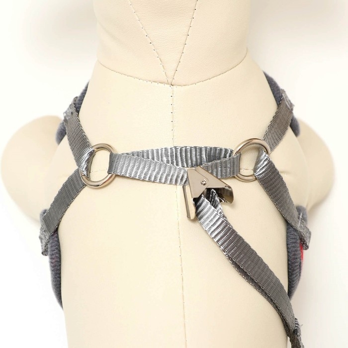 Комплект амуниции с мягкой шлейкой, S, поводок 120 х 1 см, ОШ 20-40 см, ОГ 30-44 см, красный 47310 Комплект амуниции с мягкой шлейкой, S, поводок 120 х 1 см, ОШ 20-40 см, ОГ 30-44 см, красный 47310