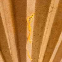 Веер бамбук, текстиль h=50 см "Павлины на ветке" белый Веер бамбук, текстиль h=50 см "Павлины на ветке" белый