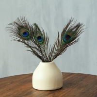 Перо павлина для декора, набор 3 шт., размер 1 шт. — от 25 до 30 см Перо павлина для декора, набор 3 шт., размер 1 шт. — от 25 до 30 см