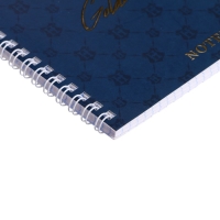 Тетрадь 48 листов в клетку на гребне "Гарри Поттер", обложка мелованный картон, матовая ламинация, 3D фольга, блок офсет, 4 вида МИКС Тетрадь 48 листов в клетку на гребне "Гарри Поттер", обложка мелованный картон, матовая ламинация, 3D фольга, блок офсет, 4 вида МИКС