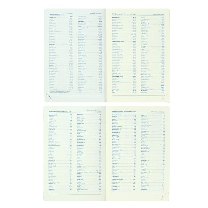 Ежедневник недатированный Western A5, 136 листов в линейку, кожзам, синий, синий срез, с резинкой, 2 ляссе, перфорированные уголки