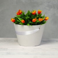 Переноска конус под цветы, белый 11,5 х 17 х 12 см Переноска конус под цветы, белый 11,5 х 17 х 12 см