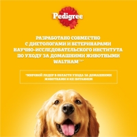 Сухой корм Pedigree для взрослых собак всех пород, говядина, 2,2 кг. Сухой корм Pedigree для взрослых собак всех пород, говядина, 2,2 кг.