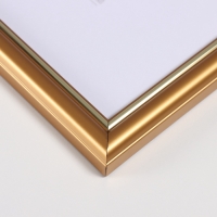 Фоторамка пластик "Пиксель" 50х70 см, золото Фоторамка пластик "Пиксель" 50х70 см, золото