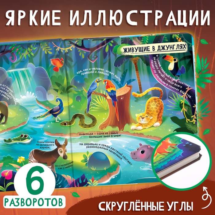 Книга с окошками «Мир животных», 50 окошек Книга с окошками «Мир животных», 50 окошек