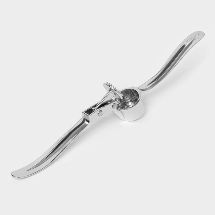 Пресс для чеснока Доляна &laquo;Эрнест&raquo;, 15 см, цвет серебряный