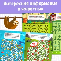Книга &laquo;Математические лабиринты с фактами. Животные&raquo;, 36 стр.